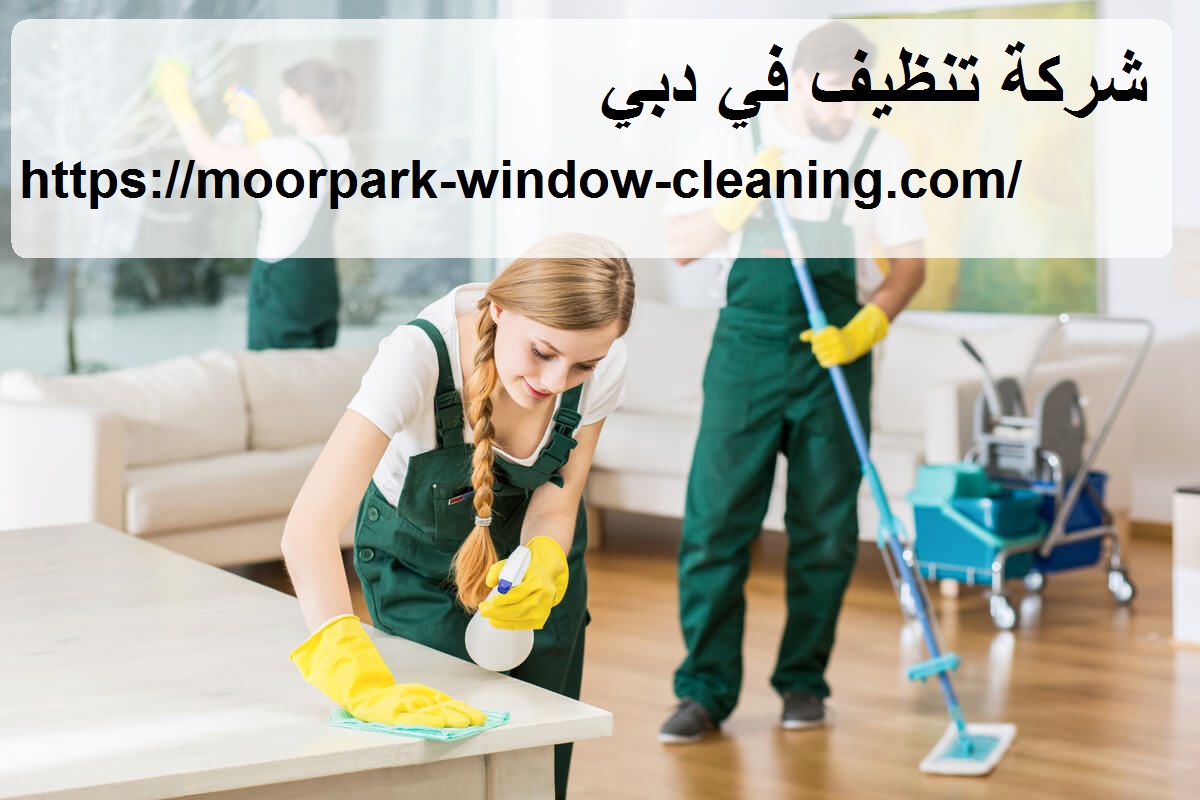 شركة تنظيف في دبي |0528803113| تنظيف منازل