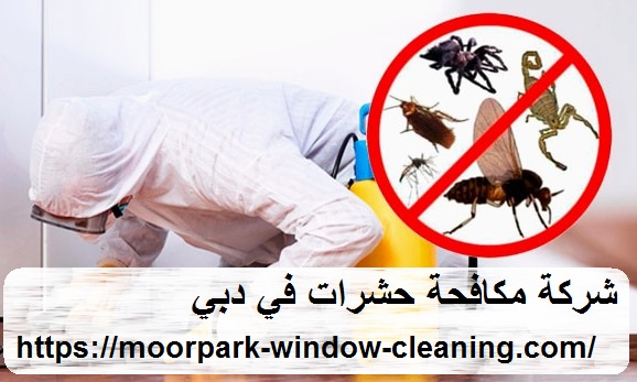 شركة مكافحة حشرات في دبي